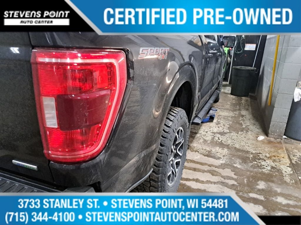 2023 Ford F-150 XLT 302A Sport