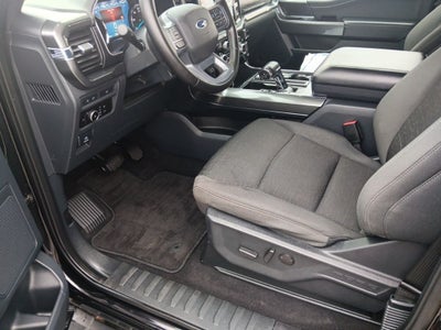 2023 Ford F-150 XLT 302A Sport