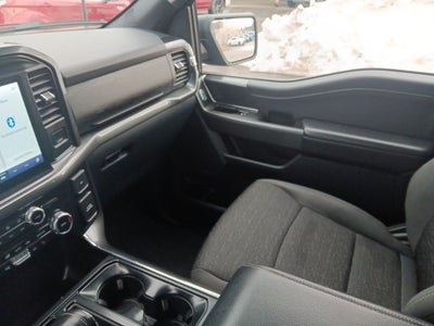 2023 Ford F-150 XLT 302A Sport