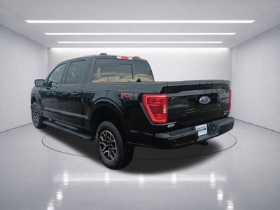 2023 Ford F-150 XLT 302A Sport