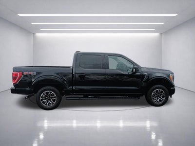 2023 Ford F-150 XLT 302A Sport