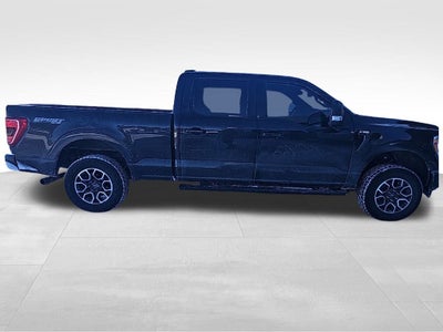 2023 Ford F-150 XLT Sport 302A