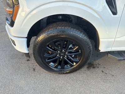 2024 Ford F-150 XLT 302A Sport