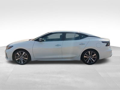 2023 Nissan Maxima SV